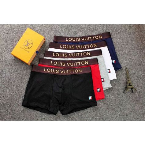 louis vuitton briefs.